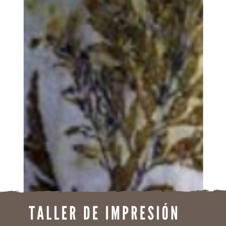 Taller de impresión botánica