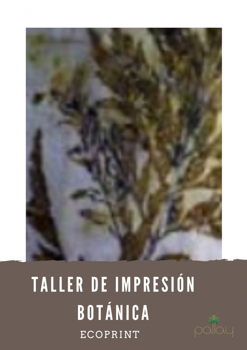 Taller de impresión botánica