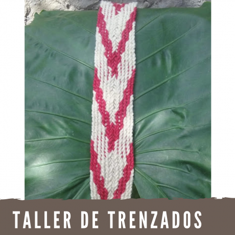 Taller de trenzados