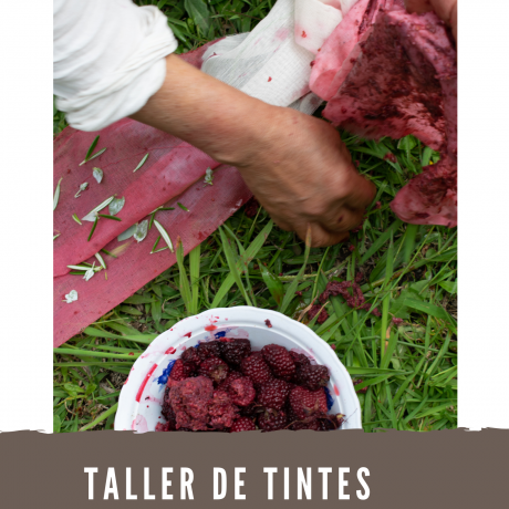 Taller de tintes naturales