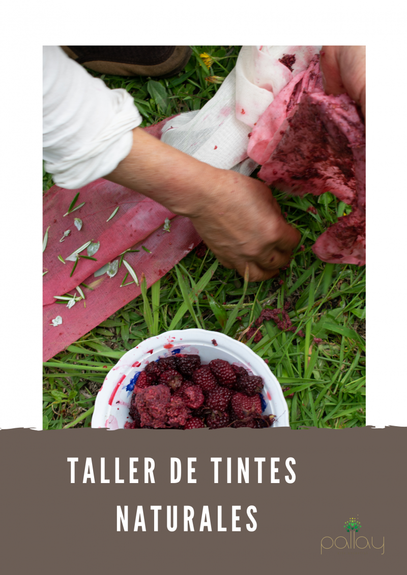 Taller de tintes naturales