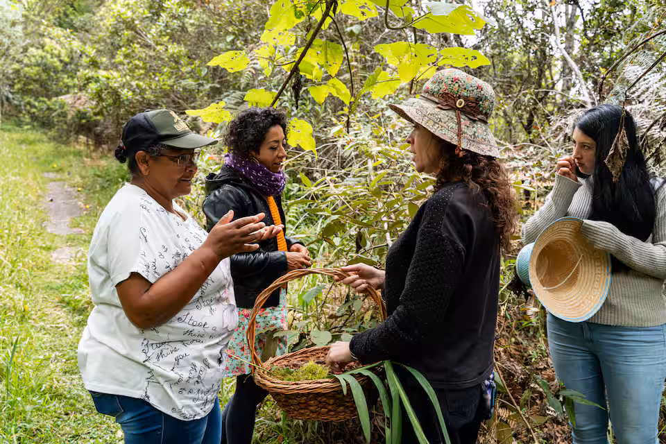 4397d2b6-f06a-41eb-a561-04c1bd2be3e9